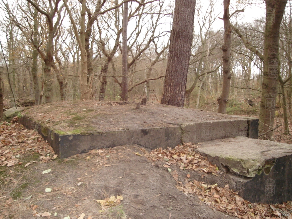Een van de bunkers op Nieuw Leeuwenhorst, nu ingericht als vleermuisbunker.